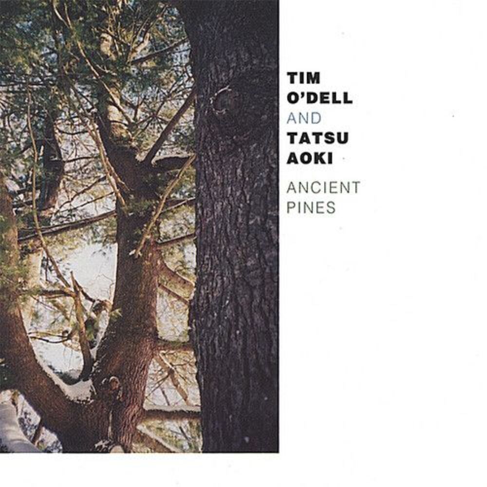 Tim O'Dell - Ancient Pines  CD